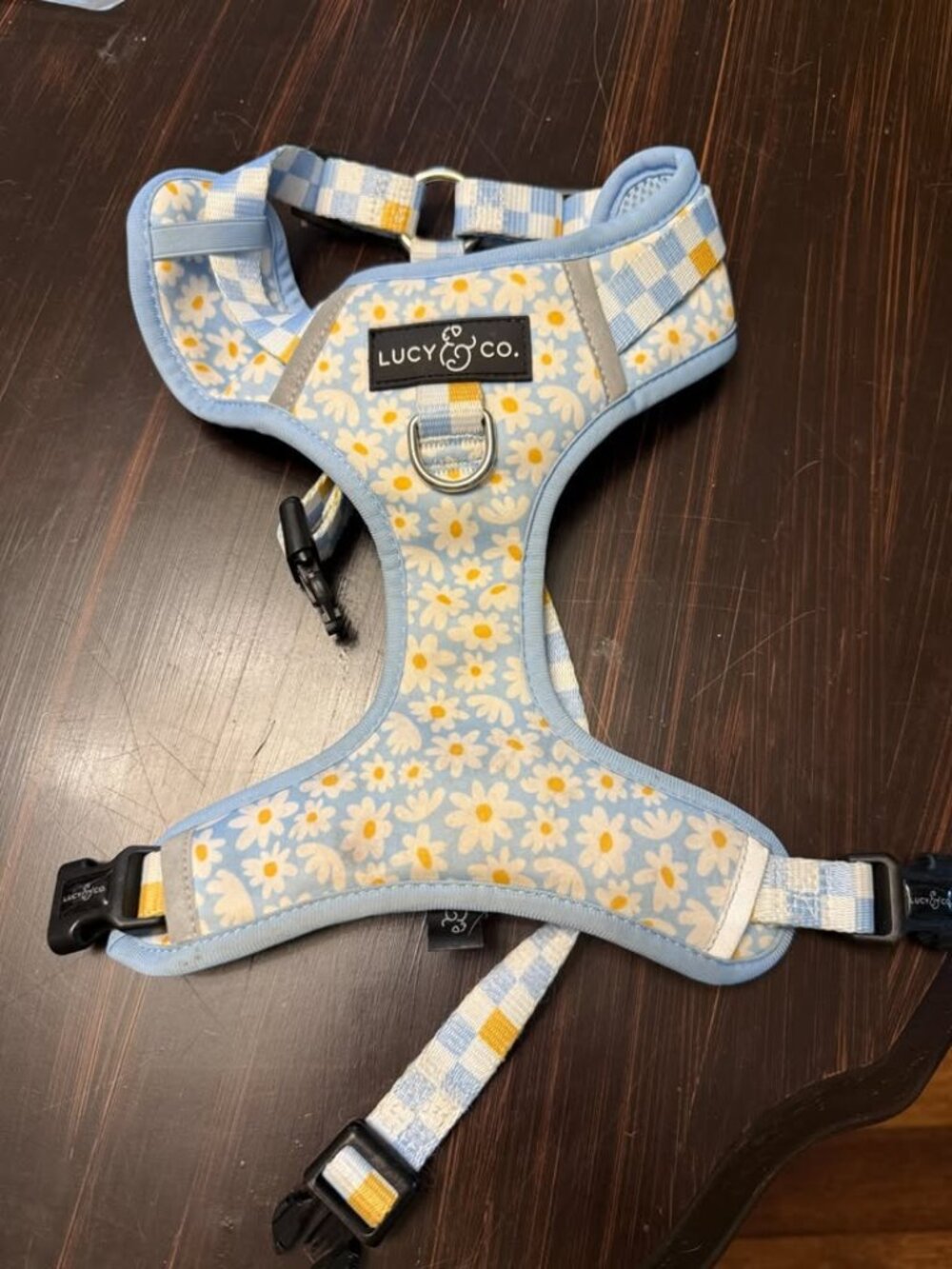 Lucy & Co. The Simply Splendid No-Pull Dog Harness, Blue, Medium: 17 to 23-inch